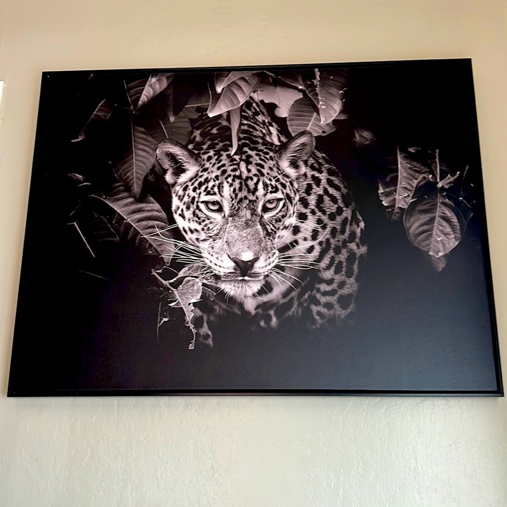 Cougar Frame